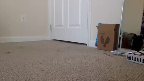 Snapshot of lexiial0 chatting on November 19, 2025, 4:40 pm Alexia L. online show from November 19, 2025, 4:40 pm