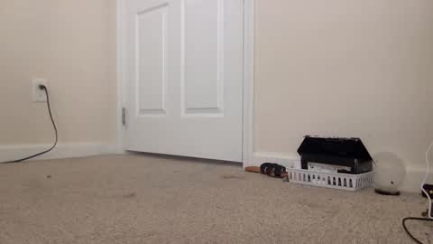 Alexia L. online show from February 24, 2026, 4:38 pm