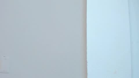 Liss 3 online show from November 4, 2025, 10:25 am