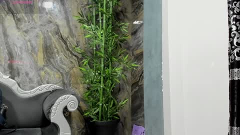 Snapshot of liam_kleiin chatting on January 6, 2025, 11:29 am LIAM KLEIN online show from January 6, 2025, 11:29 am