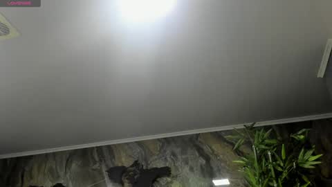 Snapshot of liam_kleiin chatting on January 25, 2025, 11:23 am LIAM KLEIN online show from January 25, 2025, 11:23 am