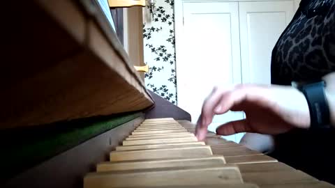 liaorgel online show from February 5, 2025, 12:17 pm