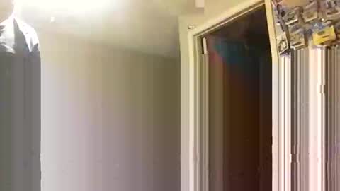 lie2ne online show from November 16, 2025, 3:50 pm