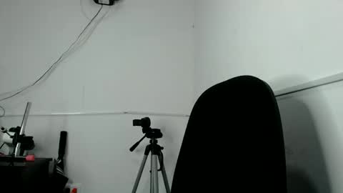 liilithstone online show from April 21, 2026, 2:51 am