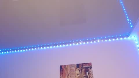 Lisaa online show from February 11, 2025, 7:12 am