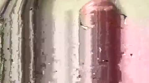 lildog361334 online show from February 28, 2026, 3:46 pm