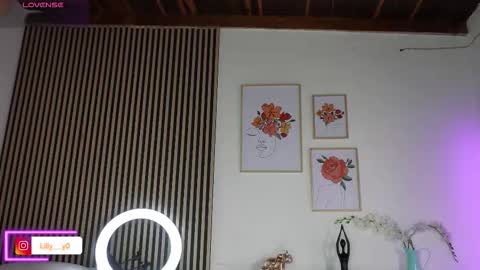 Snapshot of lilly_dollss chatting on February 3, 2026, 1:05 pm Sofia online show from February 3, 2026, 1:05 pm