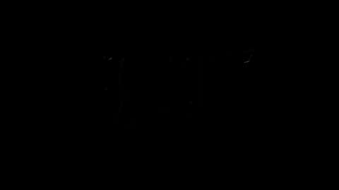 Snapshot of lilpresident chatting on February 4, 2025, 10:13 pm lilpresident online show from February 4, 2025, 10:13 pm