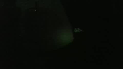 lily lovelyman online show from December 26, 2024, 4:53 am