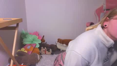 lime cat online show from October 18, 2025, 1:19 am