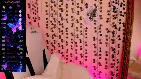 Lina online show from February 24, 2026, 8:23 am