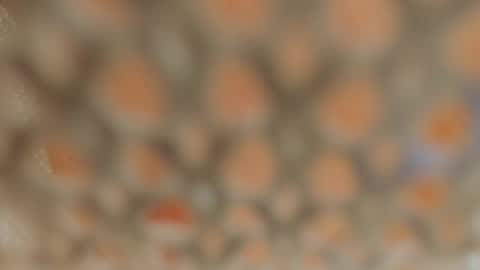 Lina Fanslymysensualworld online show from January 5, 2025, 9:37 am