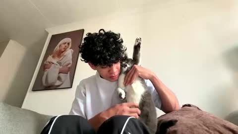 new account Lion online show from April 17, 2026, 10:13 pm