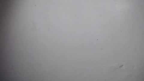 Snapshot of lisa_branch chatting on December 19, 2025, 11:06 am lisa_branch online show from December 19, 2025, 11:06 am