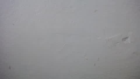 Snapshot of lisa_branch chatting on December 20, 2025, 11:17 am lisa_branch online show from December 20, 2025, 11:17 am