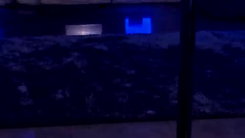 lisa_elfy online show from January 24, 2025, 3:45 pm