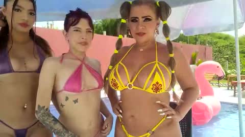 Snapshot of little_sharol chatting on October 4, 2025, 3:10 pm Sharol online show from October 4, 2025, 3:10 pm