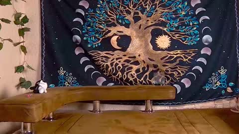 Sofia online show from January 29, 2025, 8:35 pm