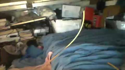 Snapshot of littlejay4773 chatting on October 4, 2025, 7:17 am littlejay littlejay online show from October 4, 2025, 7:17 am