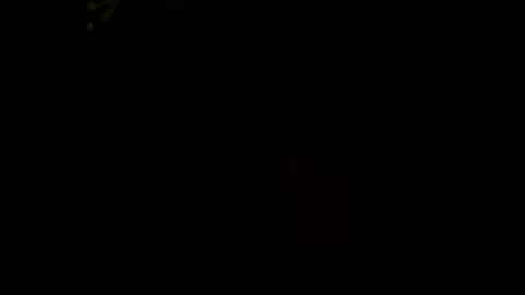 Snapshot of littletj324312 chatting on January 17, 2026, 6:29 am Little Tj online show from January 17, 2026, 6:29 am