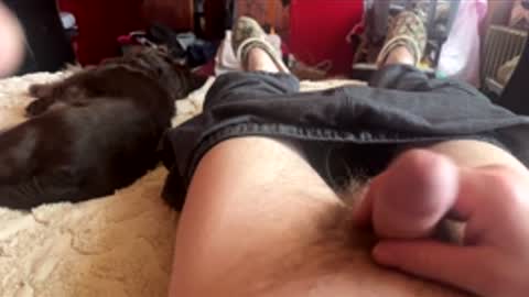 Snapshot of littletj324312 chatting on February 24, 2026, 5:33 pm Little Tj online show from February 24, 2026, 5:33 pm