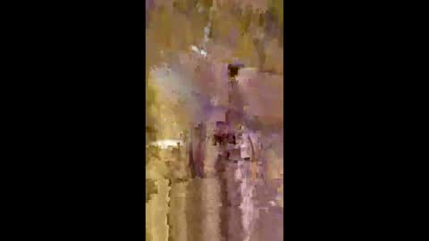 livingdata011010 online show from May 20, 2026, 1:34 am