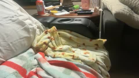 logical12345 online show from December 1, 2025, 3:22 am