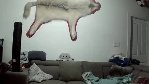 Lola Lixx online show from October 9, 2025, 5:49 am