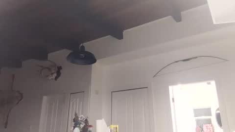 Lola Lixx online show from November 18, 2025, 2:10 pm