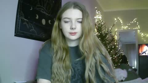 Snapshot of lollylol11 chatting on December 29, 2024, 1:17 pm Lilly online show from December 29, 2024, 1:17 pm