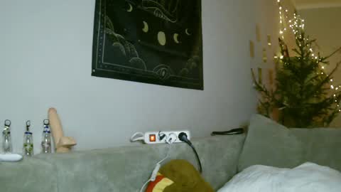 Snapshot of lollylol11 chatting on January 12, 2025, 4:31 am Lilly online show from January 12, 2025, 4:31 am