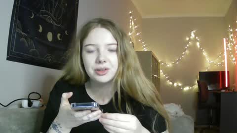 Snapshot of lollylol11 chatting on January 15, 2025, 5:05 pm Lilly online show from January 15, 2025, 5:05 pm