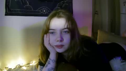 Snapshot of lollylol11 chatting on February 11, 2025, 2:24 pm Lilly online show from February 11, 2025, 2:24 pm