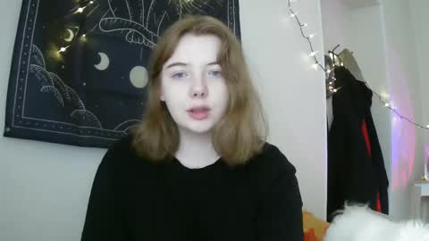 Snapshot of lollylol11 chatting on February 15, 2025, 12:43 pm Lilly online show from February 15, 2025, 12:43 pm