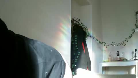 Snapshot of lollylol11 chatting on February 16, 2025, 11:38 am Lilly online show from February 16, 2025, 11:38 am