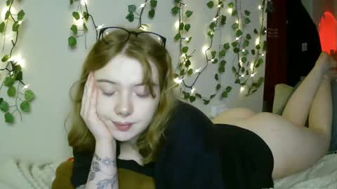 Snapshot of lollylol11 chatting on March 8, 2025, 7:09 pm Lilly online show from March 8, 2025, 7:09 pm