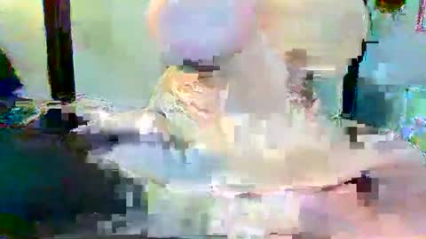 Snapshot of long_dong91 chatting on January 3, 2025, 5:10 pm Long Dong91 online show from January 3, 2025, 5:10 pm