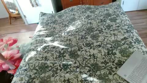 Snapshot of longbowrider555 chatting on January 30, 2025, 8:21 pm Jeff online show from January 30, 2025, 8:21 pm