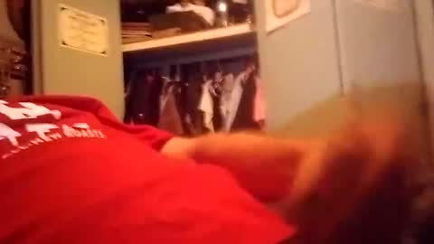 Snapshot of longdongsilverj chatting on January 8, 2025, 11:10 am longdongsilverj online show from January 8, 2025, 11:10 am