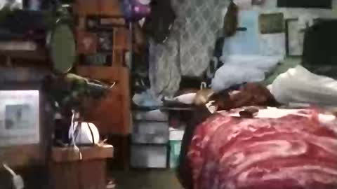 Mr. FogoDeChao online show from March 6, 2026, 5:42 pm