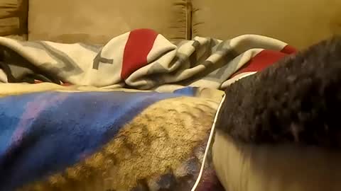 looking4bush online show from January 19, 2026, 5:55 am