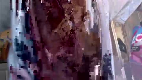 lord47maliby online show from March 30, 2026, 3:51 am