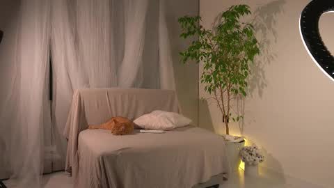 Lorrie online show from November 24, 2025, 11:21 am