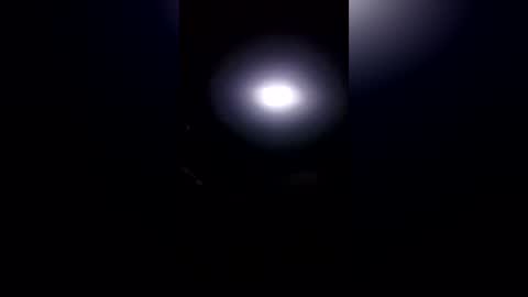 losingyamind online show from July 4, 2026, 9:59 am
