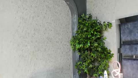 Louis online show from November 25, 2025, 6:02 am