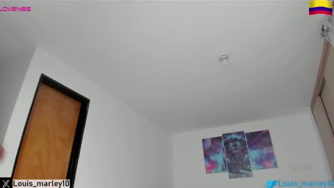 Snapshot of louis_marley_ chatting on March 12, 2025, 10:50 pm louis_marley_ online show from March 12, 2025, 10:50 pm