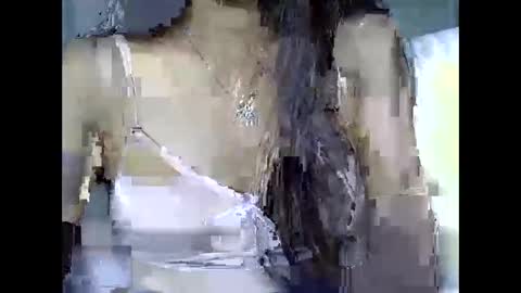 Riva online show from November 6, 2025, 10:38 am