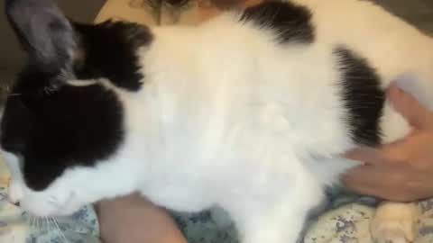 Kate online show from March 1, 2026, 12:40 pm