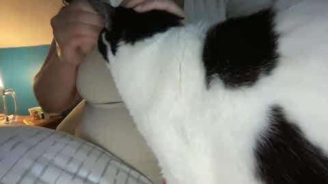 Kate online show from April 25, 2026, 10:51 am