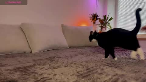 Elsa online show from October 23, 2025, 6:34 am